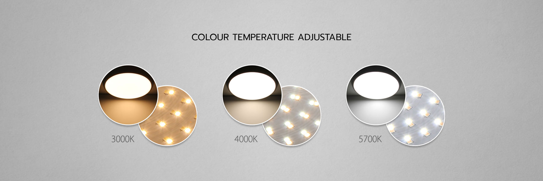 Gyrus 2D LED Bulkhead